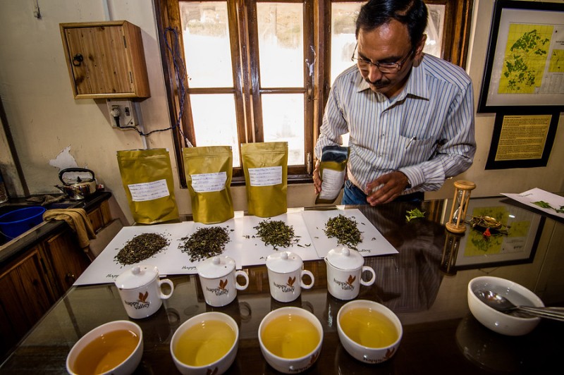Algunos de los deliciosos tés de alta calidad de DOTEPL en Darjeeling