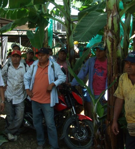 Un grupo de granjeros de APPBOSA se encontraron con el personal y los voluntarios de Oikocredit 